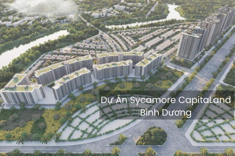 Sycamore CapitaLand