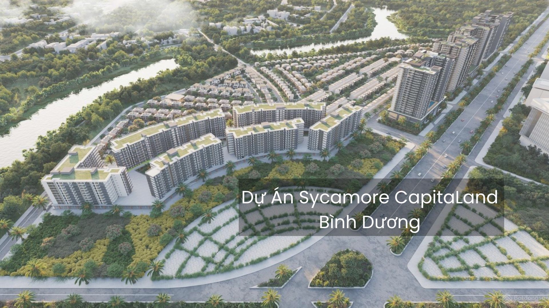 Sycamore CapitaLand