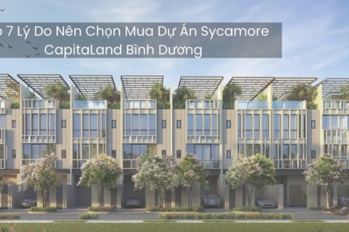 Top 7 Lý Do Nên Chọn Mua Dự Án Sycamore CapitaLand Bình Dương