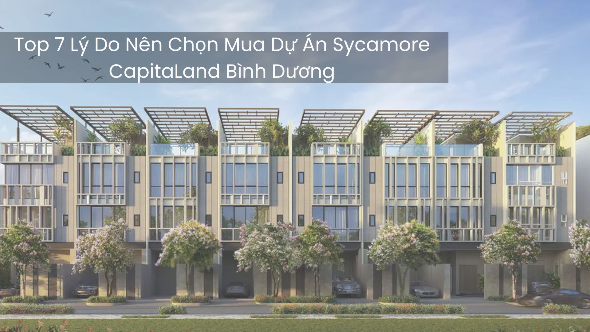 Top 7 Lý Do Nên Chọn Mua Dự Án Sycamore CapitaLand Bình Dương